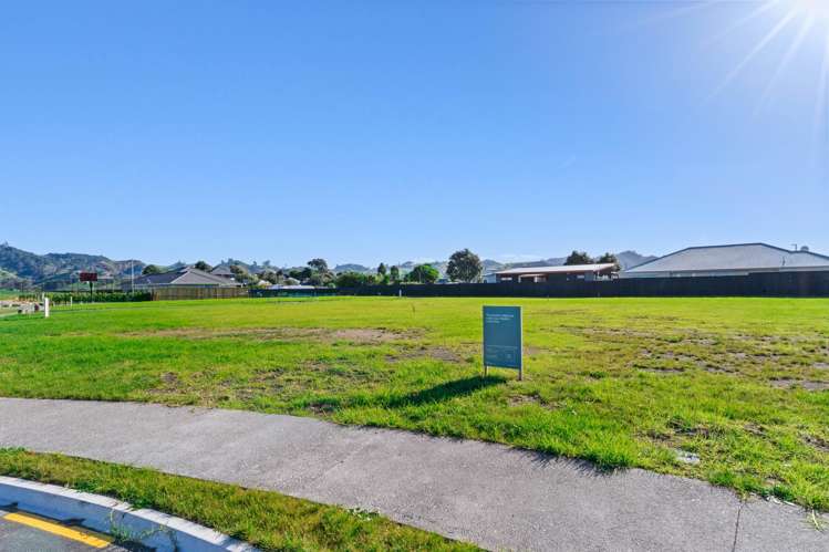 Citrus Avenue Waihi Beach_28