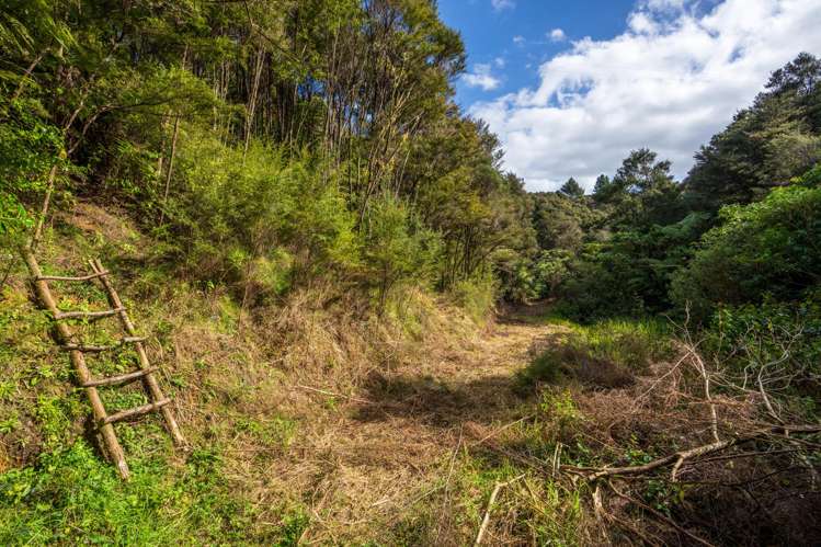 839 Owhiwa Road Parua Bay_43
