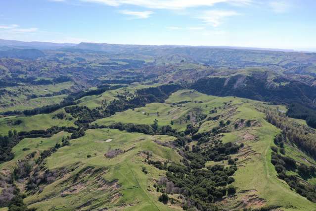 967 Glengarry Road Puketapu_4