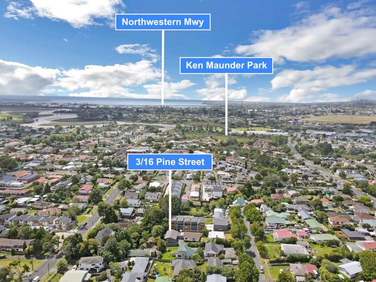 16C Pine Street New Lynn_23
