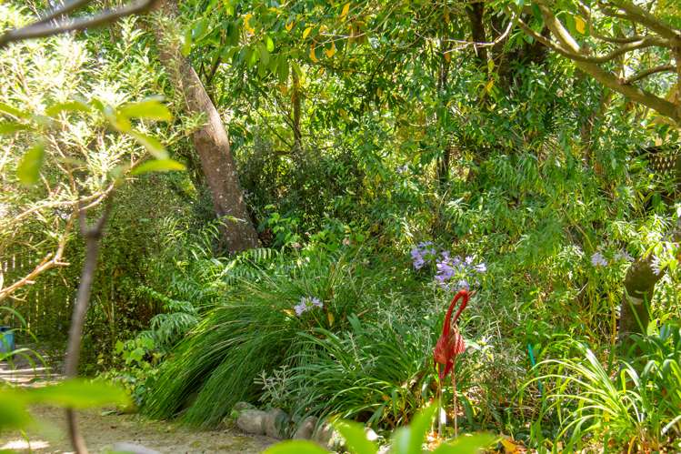 30 Titoki Street Palmerston North Central_22