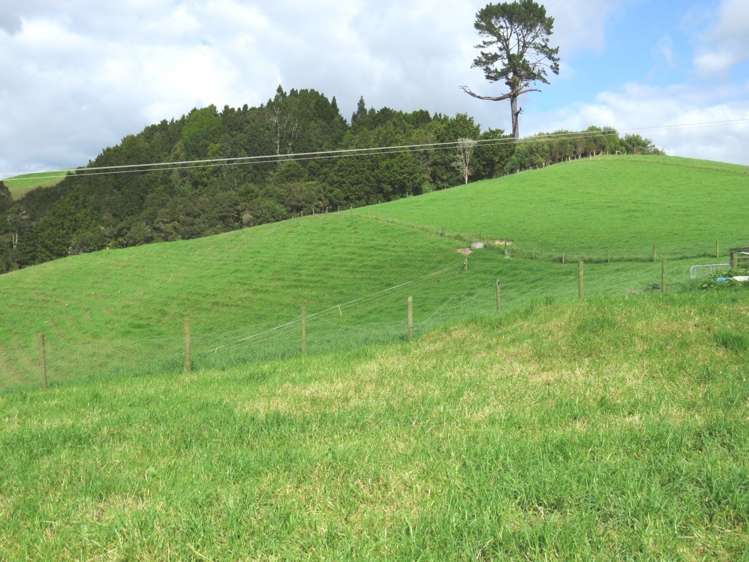 Marua Road Hikurangi_16