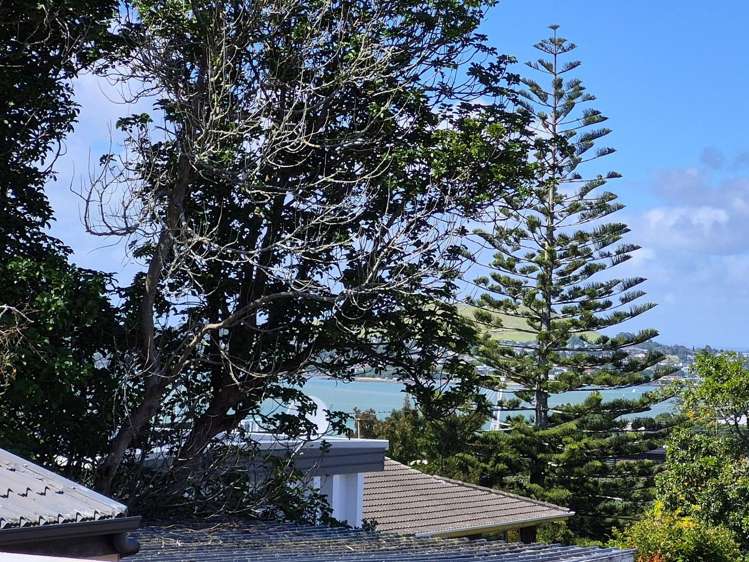 Address withheld Onehunga_19