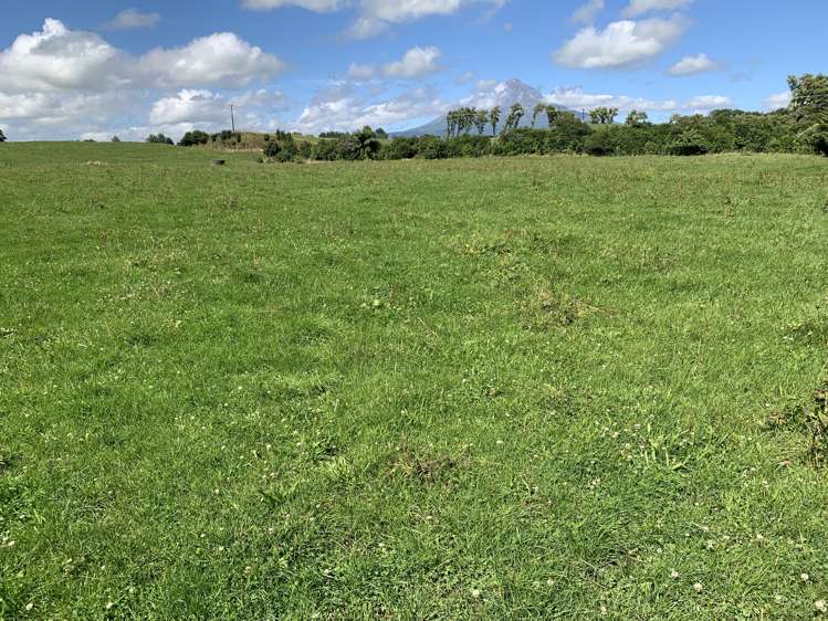 2121 Mountain Road Tariki_5