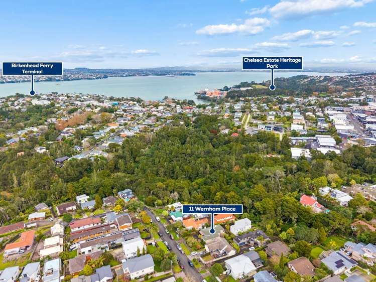 11 Wernham Place Northcote_16