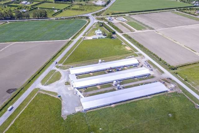 495 Selwyn Road Rolleston_1