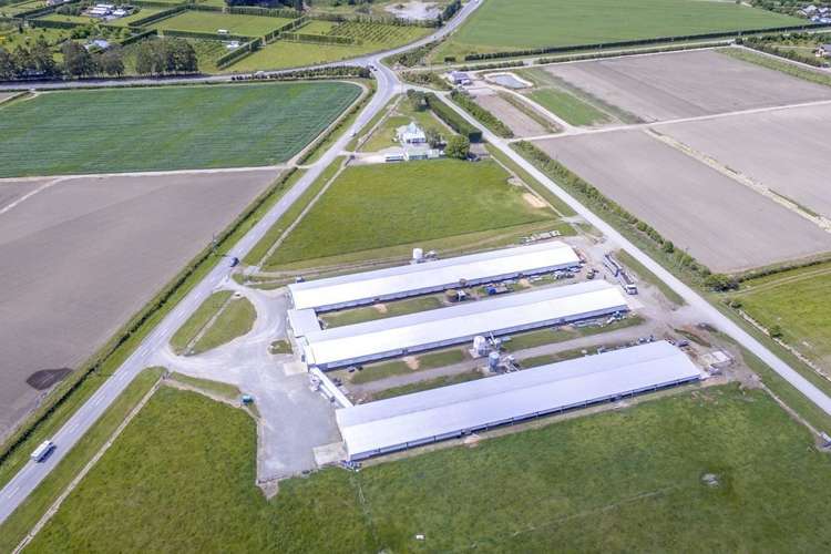 495 Selwyn Road Rolleston_1