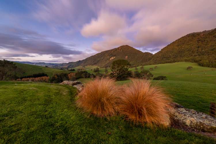 658 Te Kopia Road Waikite Valley_18