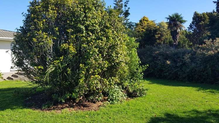 820 State Highway 1 Marton_7