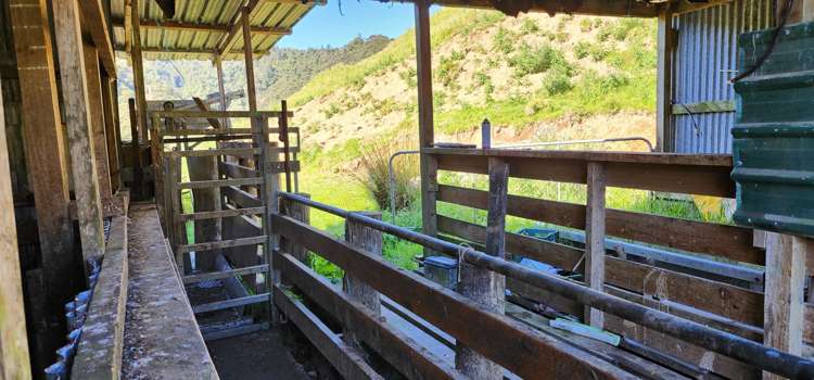 900 Okoki Road Okoki_24