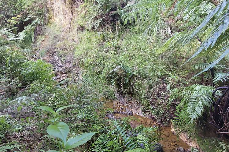 632 Marlow Road Maromaku_12