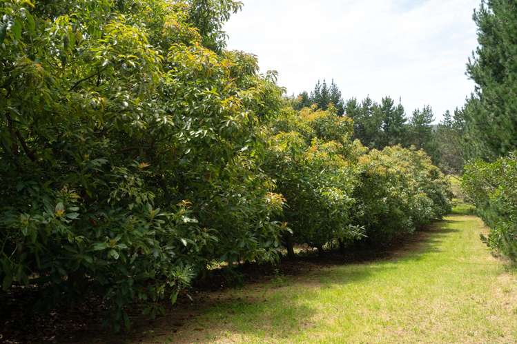 5126 State Highway One Ngataki_18