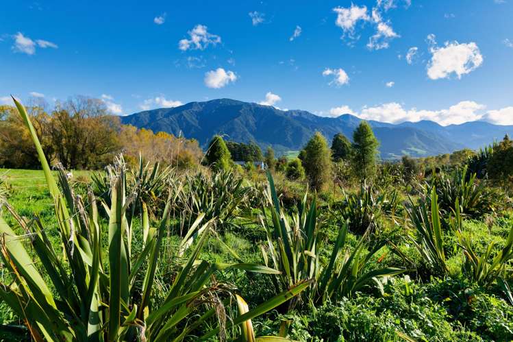 386 Mount Fyffe Road Kaikoura_19