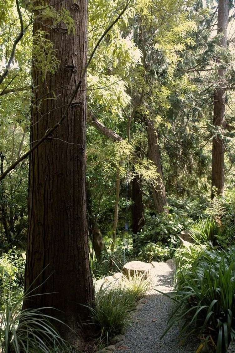 43 Manuka Street Masterton_18