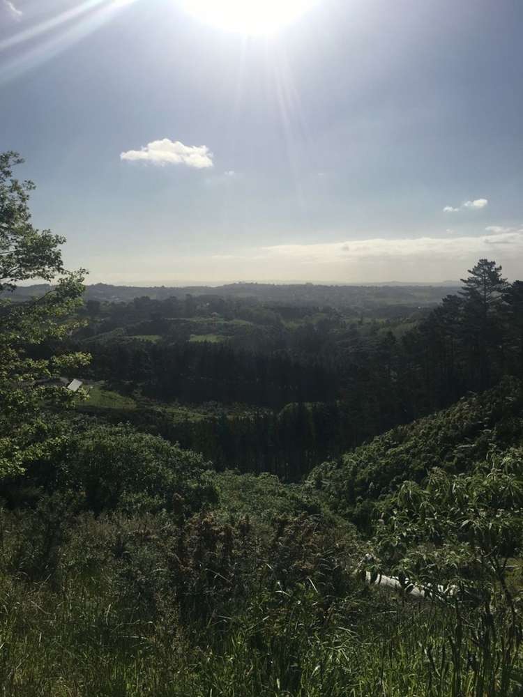 74c Solway Road Whitford_6