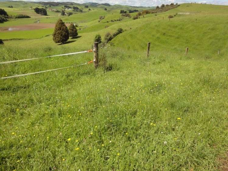 16c Kaitawa Road Pahiatua_5