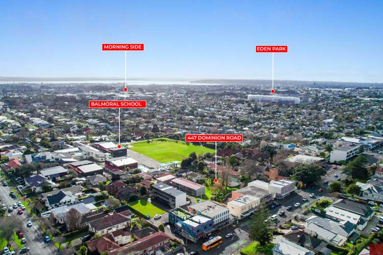 447 Dominion Road Mount Eden_4