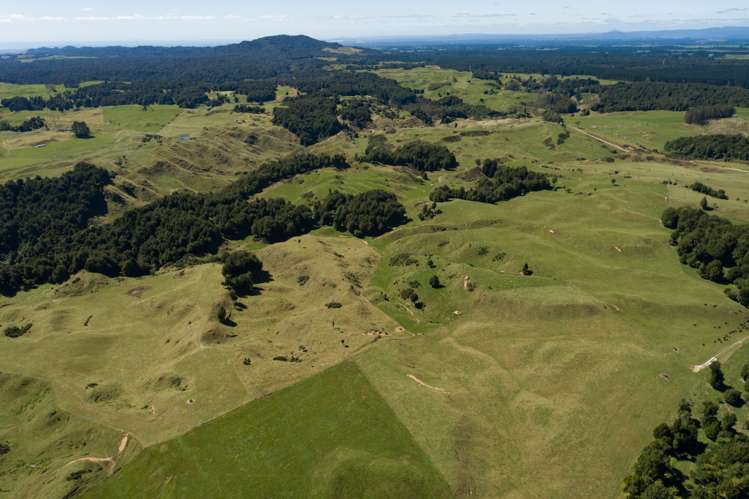 2140 Pyes Pa Road Kaimai_9