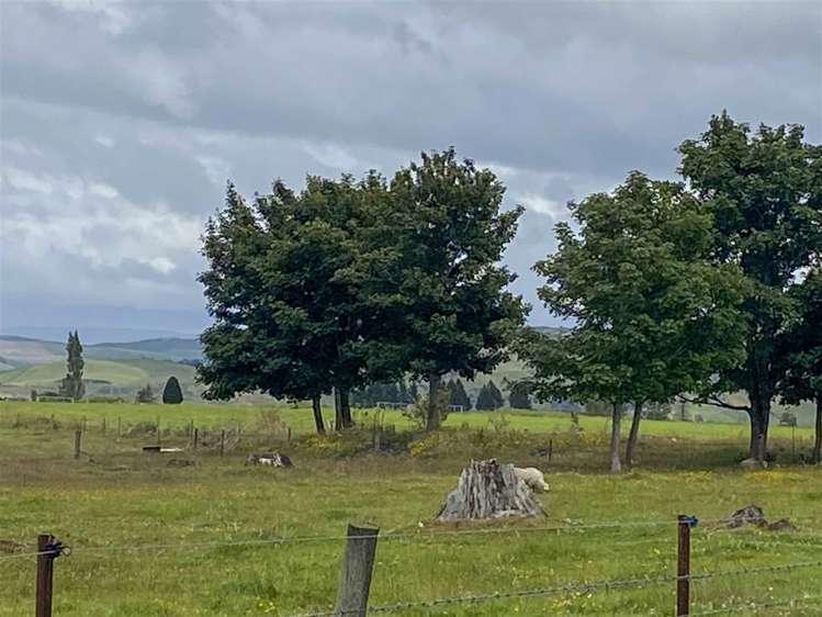 13 York Street Ohai_0