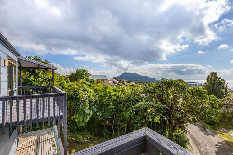 19 Kamahi Terrace Omori_16