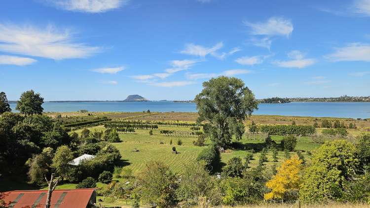 2A Oikimoke Road Te Puna_22