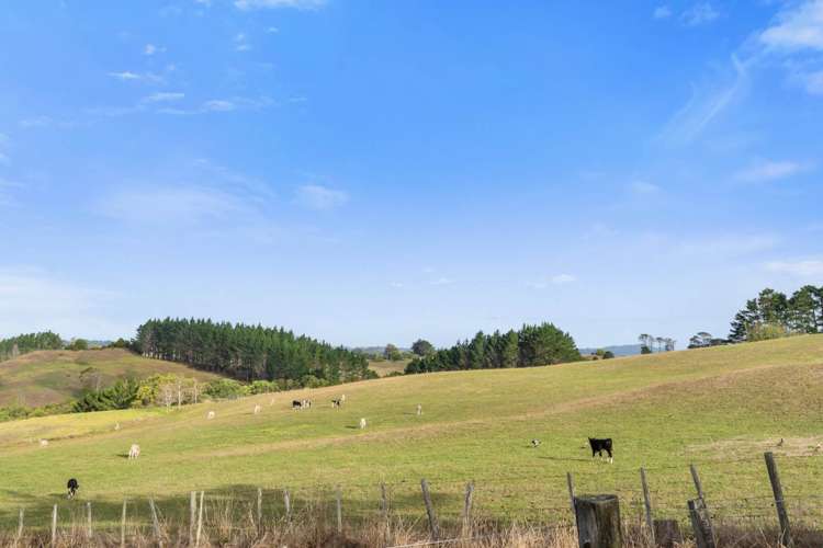 690 Wharehine Road Wharehine_29