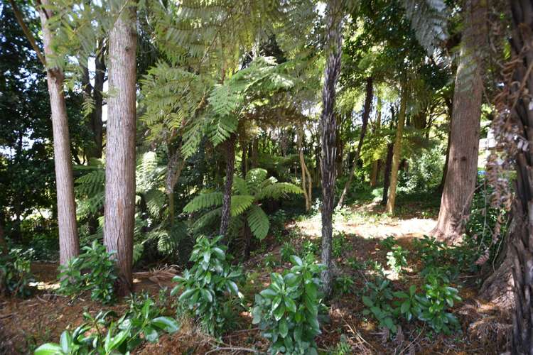 1/51 Hill Street Warkworth_1