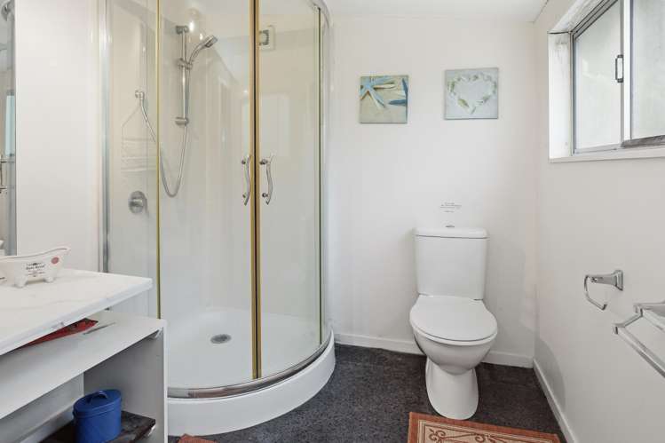 31 Trotter Avenue Waiomu_20