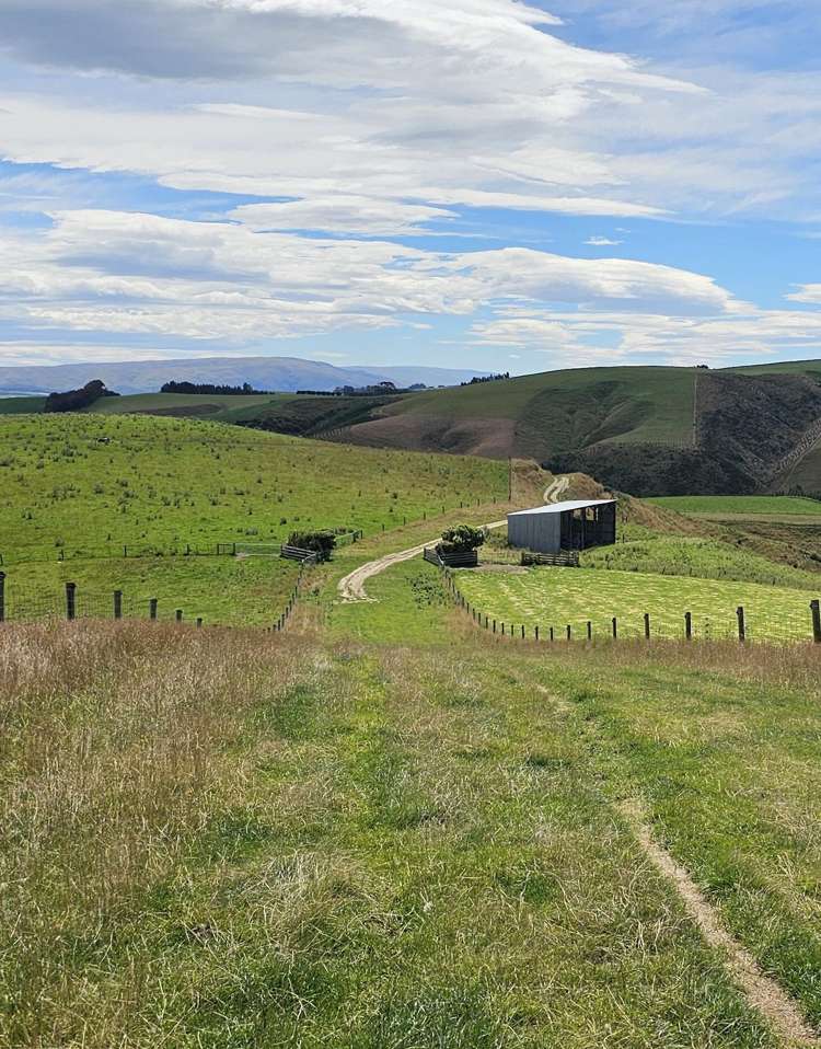 2230 Tapanui Raes Junction Highway Clutha_11