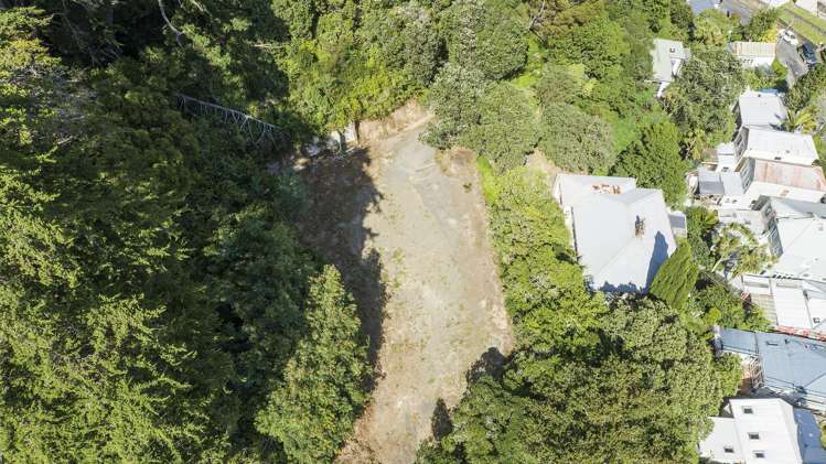 1C Holloway Road Aro Valley_8