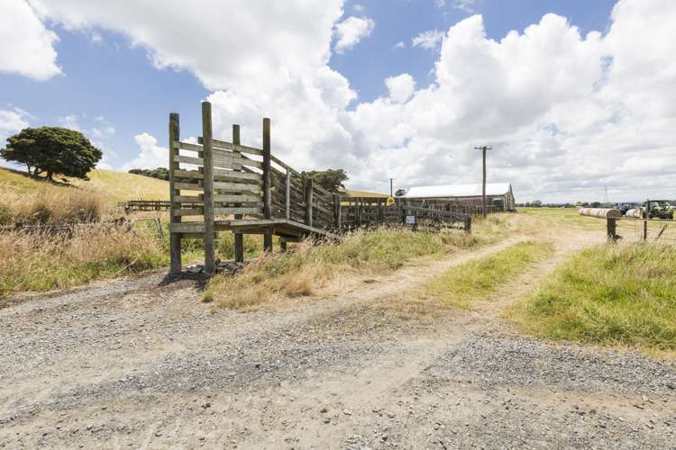 333 Makino Road Feilding_10