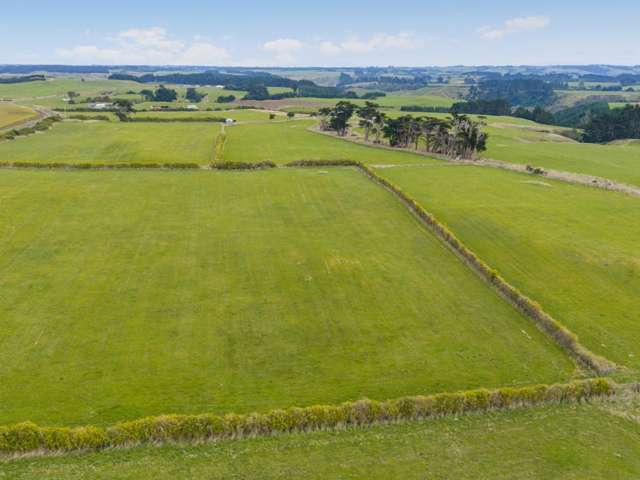 116 Karahaki Road Waverley_3