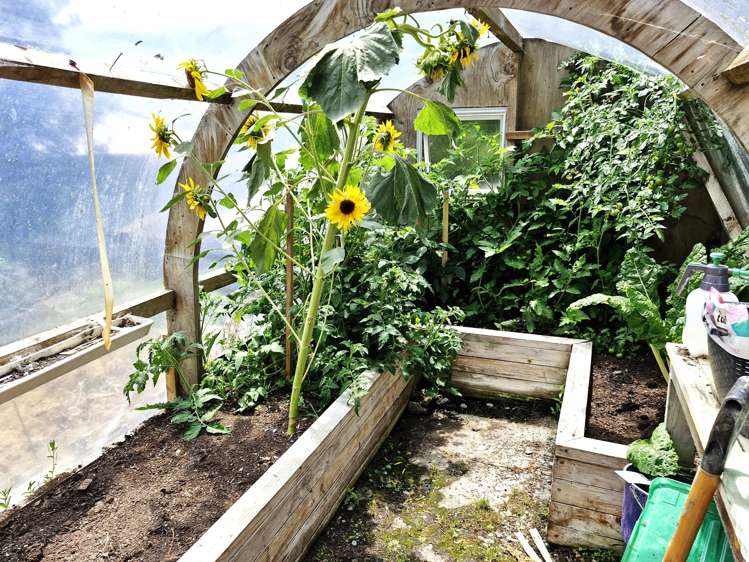 47 Milton Road Greymouth_39