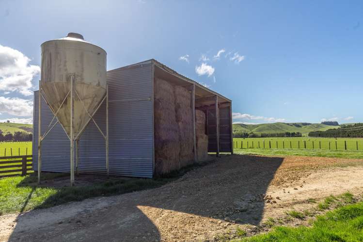 White Rock Road Martinborough_7