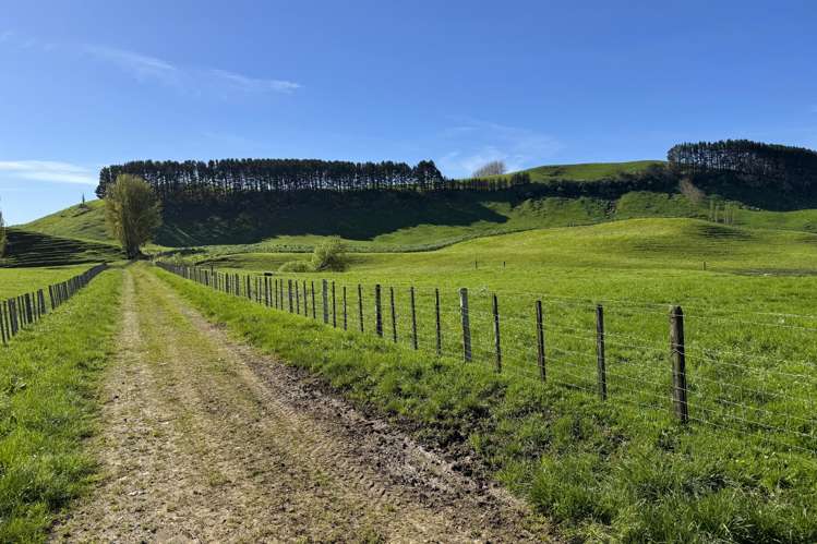 161 Veale Road Otorohanga_26