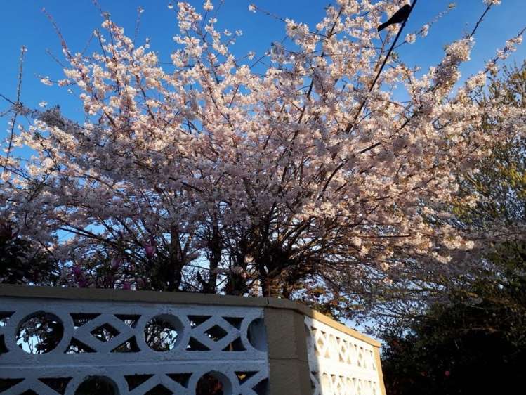 2 Church Street Rangiora_18