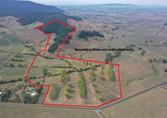 56 Mangatea Road Te Hoe_3