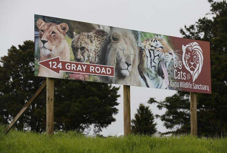 Northland's lions saved after animal charity finds buyer for Kamo Wildlife Sanctuary