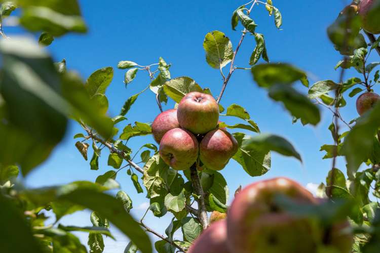 1612B Pakiri Road Pakiri_26