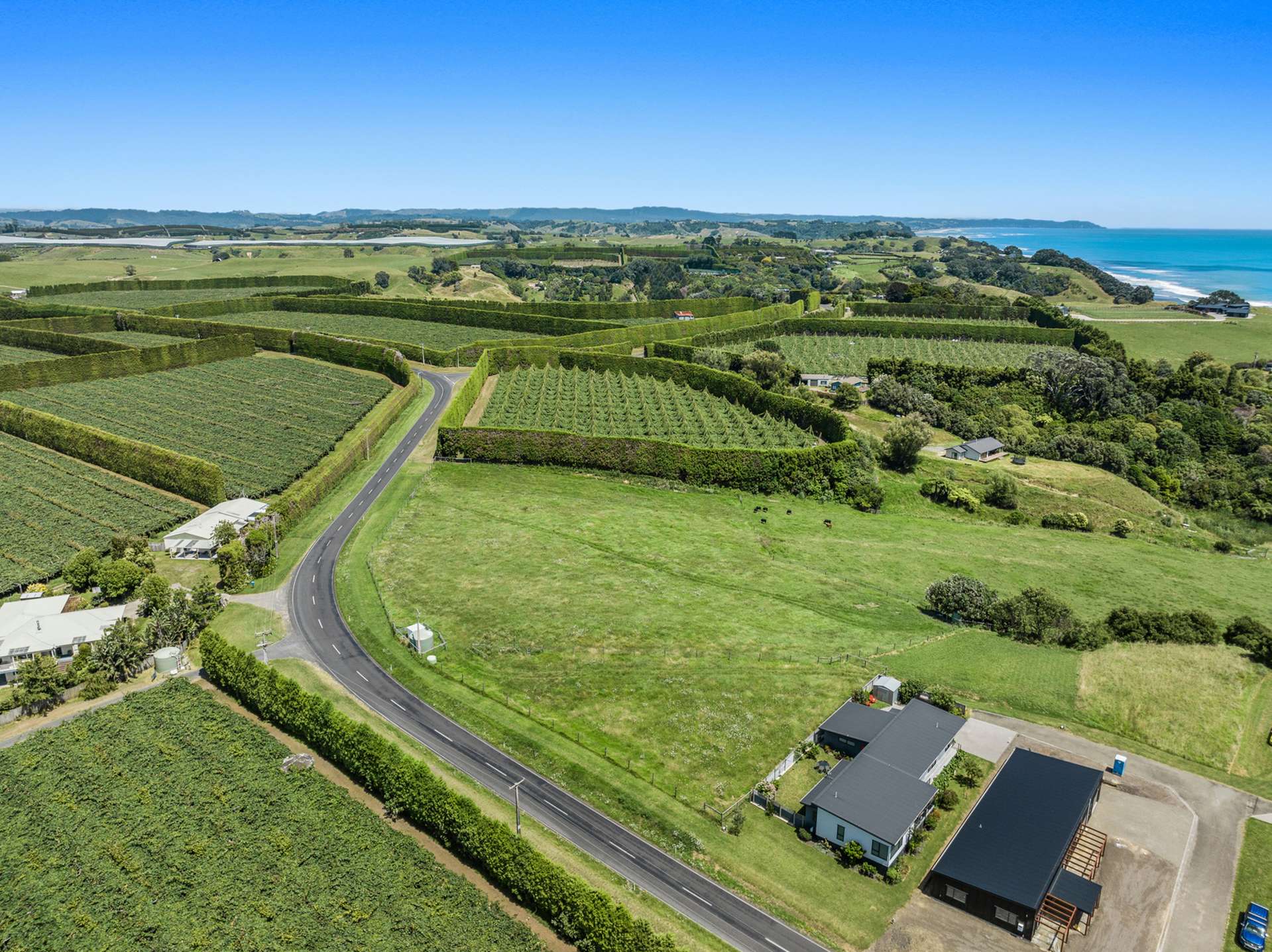 40 Paerata Ridge Road Waiotahe_0