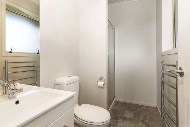 32 Havelock Street Renwick_15