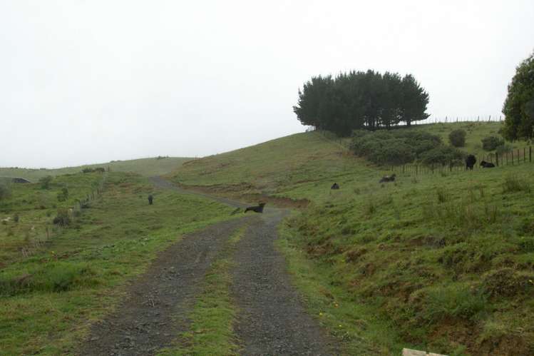 3002a Kaipara Coast Highway Glorit_8