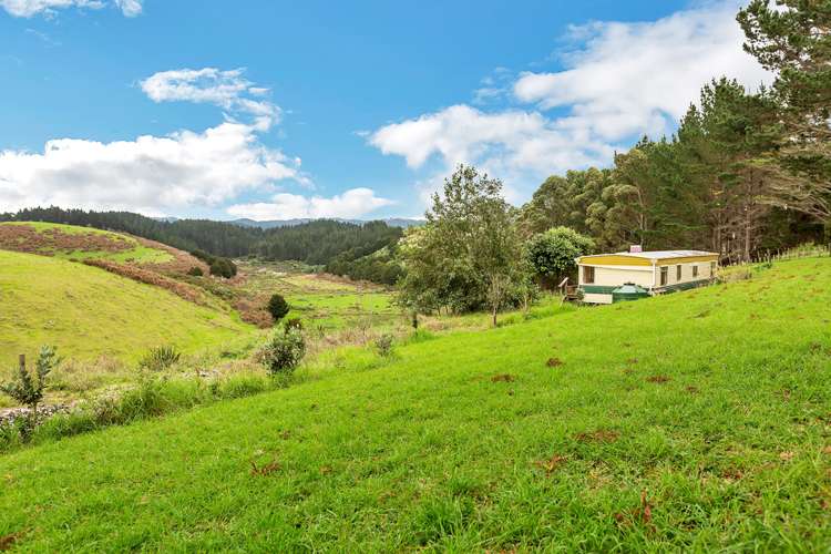 113 Addison Road Parua Bay_9