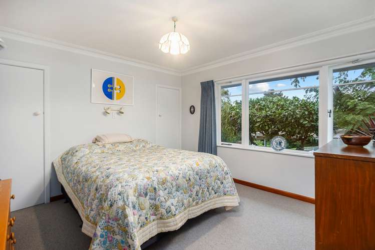 18 Amandale Avenue Mount Albert_13