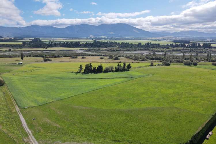 590 Ashley Road Summerhill_10