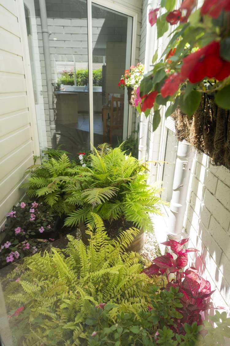 2/674 Ranginui Road Welcome Bay_18