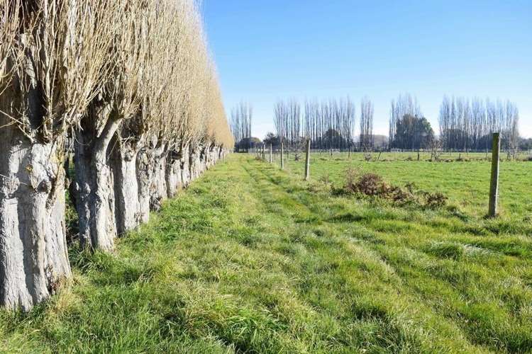 151 Burgesses Road Clarkville_14