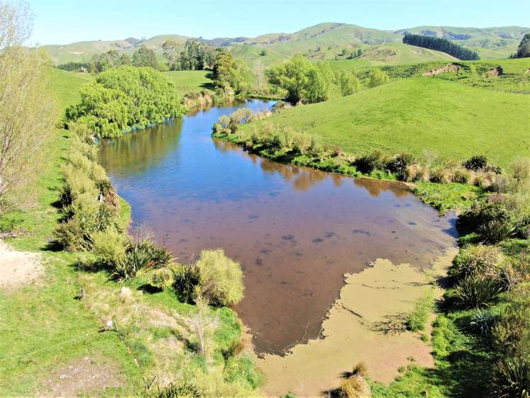 338 Te Awa Road Hawkes Bay_7