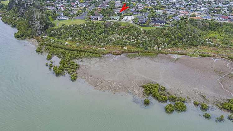 19 Bill Phillip Place Clendon Park_8