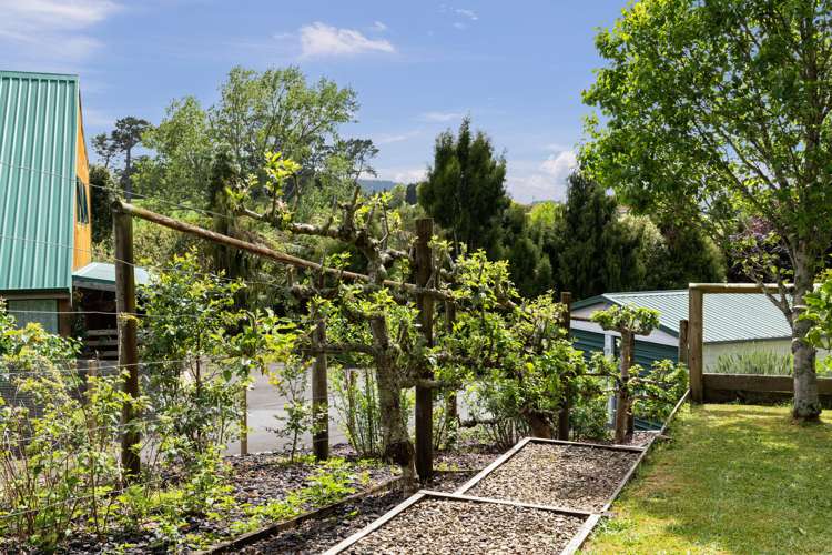 12 Poland Street Waikino_10